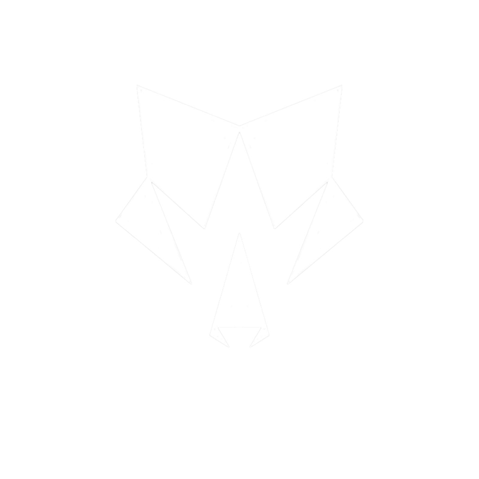 Wolfwise Media Logo